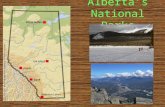 Alberta’s National Parks. Banff National Park In 1883, three Canadian Pacific Railway construction workers stumbled across a cave containing hot springs.