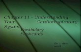 Vocabulary Flashcards Chapter 11 - Understanding Your Cardiorespiratory System Go to first word…