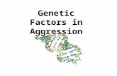 Genetic Factors in Aggression The Genetic Link in Aggression What have twin and adoption studies shown? McGuffin & Gottesman (1985) study of concordance.
