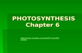 PHOTOSYNTHESIS Chapter 6  Xx0KU.
