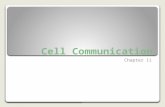 Cell Communication Chapter 11. 11.1 External signals are converted to responses within a cell.