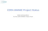 CERN AWAKE Project Status Edda Gschwendtner for the CERN AWAKE Project Team.