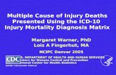 Multiple Cause of Injury Deaths Presented Using the ICD-10 Injury Mortality Diagnosis Matrix Margaret Warner, PhD Lois A Fingerhut, MA NCIPC Denver 2005.