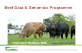 Beef Data & Genomics Programme Information Meetings 2015 Teagasc Beef Specialists.