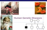 2006-2007 Human Genetic Diseases 12 3456 AP Biology Pedigree analysis Pedigree analysis reveals Mendelian patterns in human inheritance  data mapped.