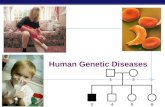 AP Biology Human Genetic Diseases 12 3456 AP Biology Pedigree analysis Pedigree analysis reveals Mendelian patterns in human inheritance  data mapped.