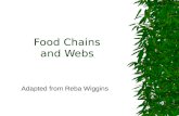 Food Chains and Webs Adapted from Reba Wiggins Food Chain  Order in which animals eat plants and other animals.  Always begins with autotrophs.  Arrows.