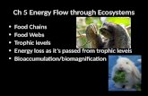 Ch 5 Energy Flow through Ecosystems Food Chains Food Webs Trophic levels Energy loss as it’s passed from trophic levels Bioaccumulation/biomagnification.