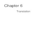 Chapter 6 Translation. The genetic code Translational reading frames.