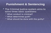 Punishment & Sentencing The Criminal Justice system aims to solve three basic questions: What conduct is criminal? What determines guilt? What should be.