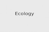 Ecology. –the scientific study of interactions among organisms and their environment Ecology Nutrition & Energy.