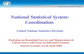Workshop on Household Surveys and Measurement of Labour Force with Focus on Informal Economy Maseru, Lesotho, 14-18 April 2008 National Statistical System:
