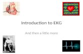 Introduction to EKG And then a little more. To get an accurate EKG, leads must be properly applied: I: RA(-) to LA(+) II RA(-) to LL(+) III:LA(-) to LL(+)