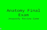 Anatomy Final Exam Jeopardy Review Game. 200 300 400 500 100 200 300 400 500 100 200 300 400 500 100 200 300 400 500 100 200 300 400 500 Introduction.