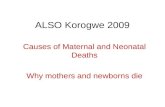 ALSO Korogwe 2009 Causes of Maternal and Neonatal Deaths Why mothers and newborns die.