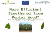 More Efficient Bioethanol from Poplar Wood? More Efficient Bioethanol from Poplar Wood? Tues. 22 nd May 2012, EnergyAway Day, Chilworth Manor Adrienne.