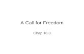 A Call for Freedom Chap 16.3. Terms/People for this section Emancipation - to set free Ratified – to approve Thirteenth Amendment- Amendment to abolish.