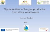 Opportunities of biogas production from dairy wastewater 2014 Kristóf Szabó.