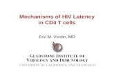 Mechanisms of HIV Latency in CD4 T cells. T TM.