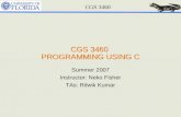 CGS 3460 CGS 3460 PROGRAMMING USING C Summer 2007 Instructor: Neko Fisher TAs: Ritwik Kumar.