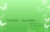 Cosmic Garden Compiled By; Matthew Augustyn. Shooting Star Flower The Shooting star’s scientific name is Dodecathon media It is also known as the Pride.