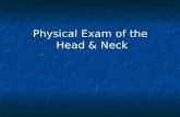 Physical Exam of the Head & Neck. INTRODUCTION It is usually the initial part of a general physical exam, after the vital signs. It is usually the initial.