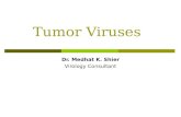 Tumor Viruses Dr. Medhat K. Shier Virology Consultant.