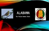 ALABAMA The Yellow Hammer State. HISTORY OF THE STATE Alabama became a state of the United States of America on December 14, 1819. The word Alabama means.