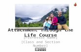 Attachment Through the Life Course [Professor Name] [Class and Section Number]
