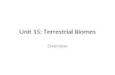 Unit 15: Terrestrial Biomes Overview. biome large geographic areas that have similar climates and ecosystems (the types of organisms that live there)
