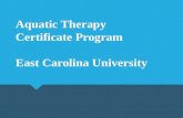 Aquatic Therapy Certificate Program East Carolina University.