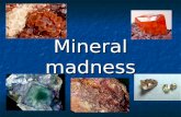 Mineral madness. Activate Prior Knowledge Talk at your tables about what you ALREADY know about this topic. Talk at your tables about what you ALREADY.