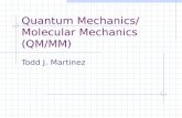 Quantum Mechanics/ Molecular Mechanics (QM/MM) Todd J. Martinez.