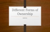 Different Forms of Ownership BDP301. Choosing the Right Form of Ownership A new venture can be established as a: sole proprietorship, partnership, or.