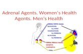 Adrenal Agents. Women’s Health Agents. Men’s Health Agents.