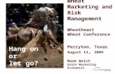 Wheat Marketing and Risk Management Wheatheart Wheat Conference Perryton, Texas August 13, 2009 Mark Welch Grain Marketing Economist Hang on or let go?