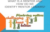 WHAT IS A MENTOR AND HOW DO WE IDENTIFY MENTOR LEADERS?