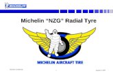 1 August 5, 2002 Michelin Confidential Michelin “NZG” Radial Tyre.