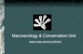 Macroecology & Conservation Unit .