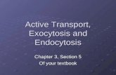 Active Transport, Exocytosis and Endocytosis Chapter 3, Section 5 Of your textbook.