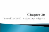 Intellectual Property Rights. Are associated with:  Patents  Trademarks  Copyrights  Trade secrets  Protective devices granted by the state to facilitate.