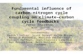 Fundamental influence of carbon- nitrogen cycle coupling on climate- carbon cycle feedbacks Peter Thornton NCAR, CGD/TSS Collaborators: Keith Lindsay,