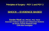 Principles of Surgery - PGY 1 and PGY 2 SHOCK – EVIDENCE BASED Sandro Rizoli, MD, FRCSC, PhD, FACS Associate Professor Surgery and Critical Care Medicine.