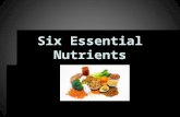 Six Essential Nutrients. What is Nutrition?  The process of taking in food and using it for energy, growth, and good health.