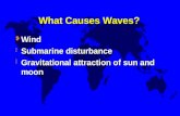 What Causes Waves? ¥ Wind ¥ Submarine disturbance ¥ Gravitational attraction of sun and moon.