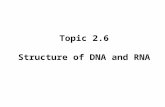 Topic 2.6 Structure of DNA and RNA. By Chris Paine  2.6 Structure of DNA and RNA Essential idea: The structure of DNA.