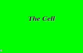 The Cell. $2 $5 $10 $20 $1 $2 $5 $10 $20 $1 $2 $5 $10 $20 $1 $2 $5 $10 $20 $1 $2 $5 $10 $20 $1 Cells Organelles 1 Cell Structure Organelles 2 & movement.