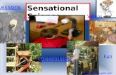 Sensational Science   Activities Lessons / Fun Videos