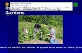 National Park Service US Forest Service Great Smoky Mountains National Park Cradle of Forestry in America Ozone Bio-monitoring Gardens Using students to.