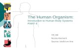 The Human Organism: Introduction to Human Body Systems PART 4 TPJ 3M Nicole Klement Source: bioEd on-line.